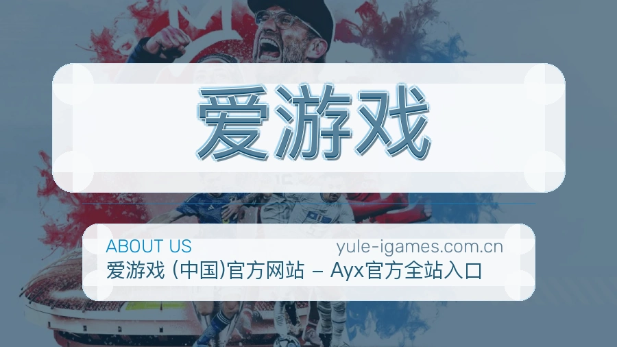爱游戏体育阅读服务说明